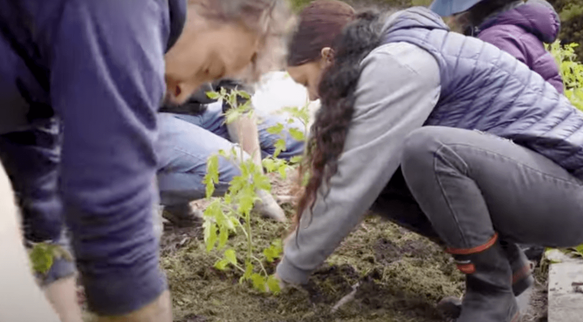 Youth local food production