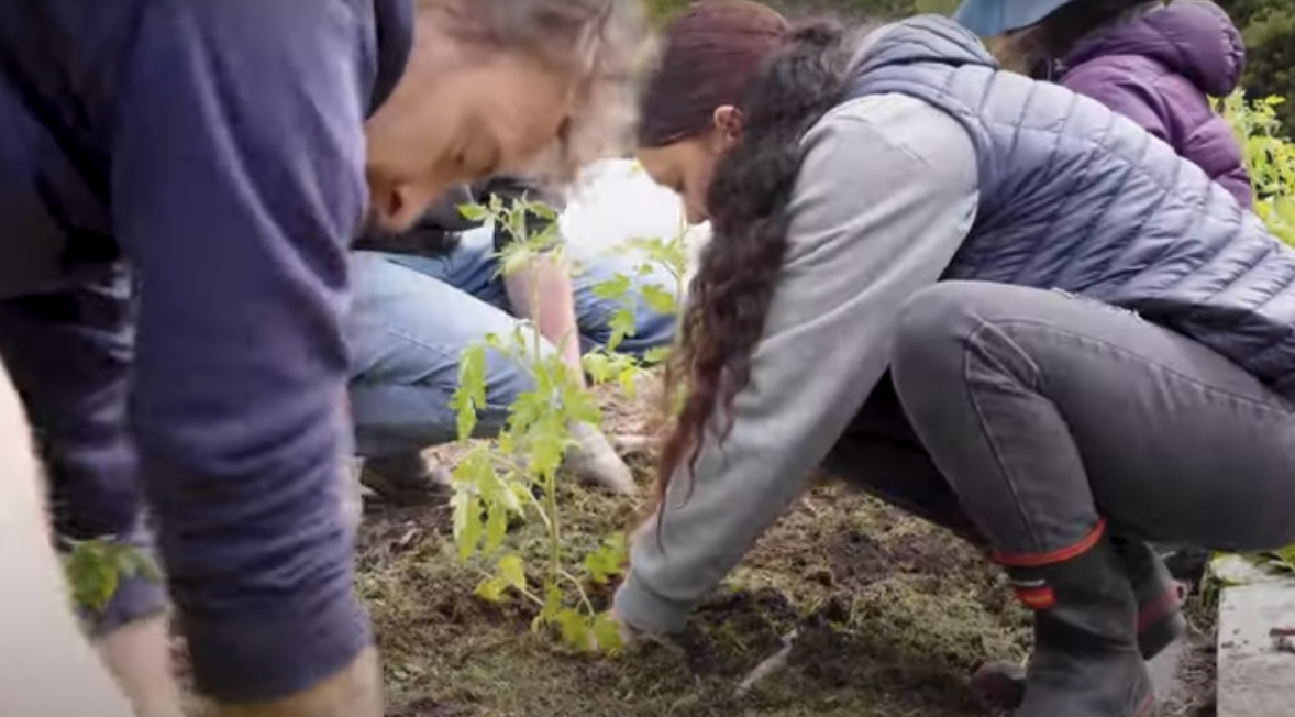 Youth local food production